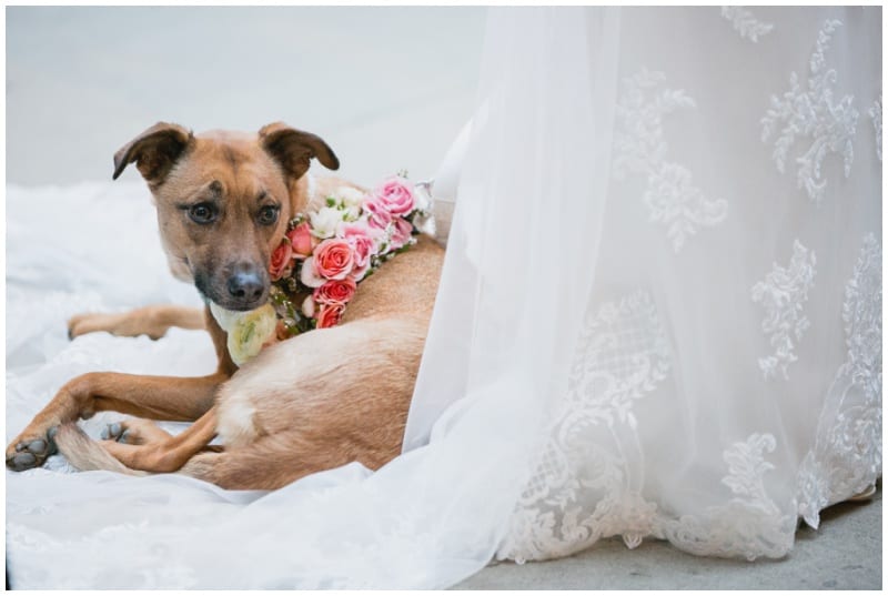 fall wedding, Erin Johnson Weddings, Mill City Museum, warm wedding floral, coral wedding floral, navy bridesmaids dresses, fall wedding bouquet, fall floral, fall bridal bouquet, pink bridal bouquet, Artemisia Studios, Minneapolis wedding florist, Minnesota wedding florist