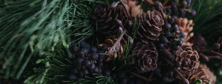 Pine Branch with Cones — Sunflower Glass Studio